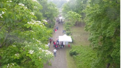 「南華林業園區」於28日桐花盛開季節，首次辦理友善市集與森林體驗，吸引了350名遊客前往 (1)